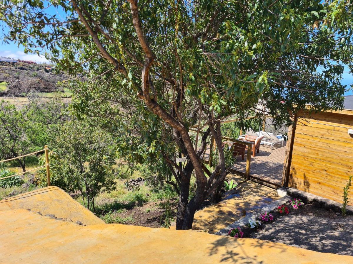 Casa Abuelo Yano Villa เอลปาโซ ภายนอก รูปภาพ